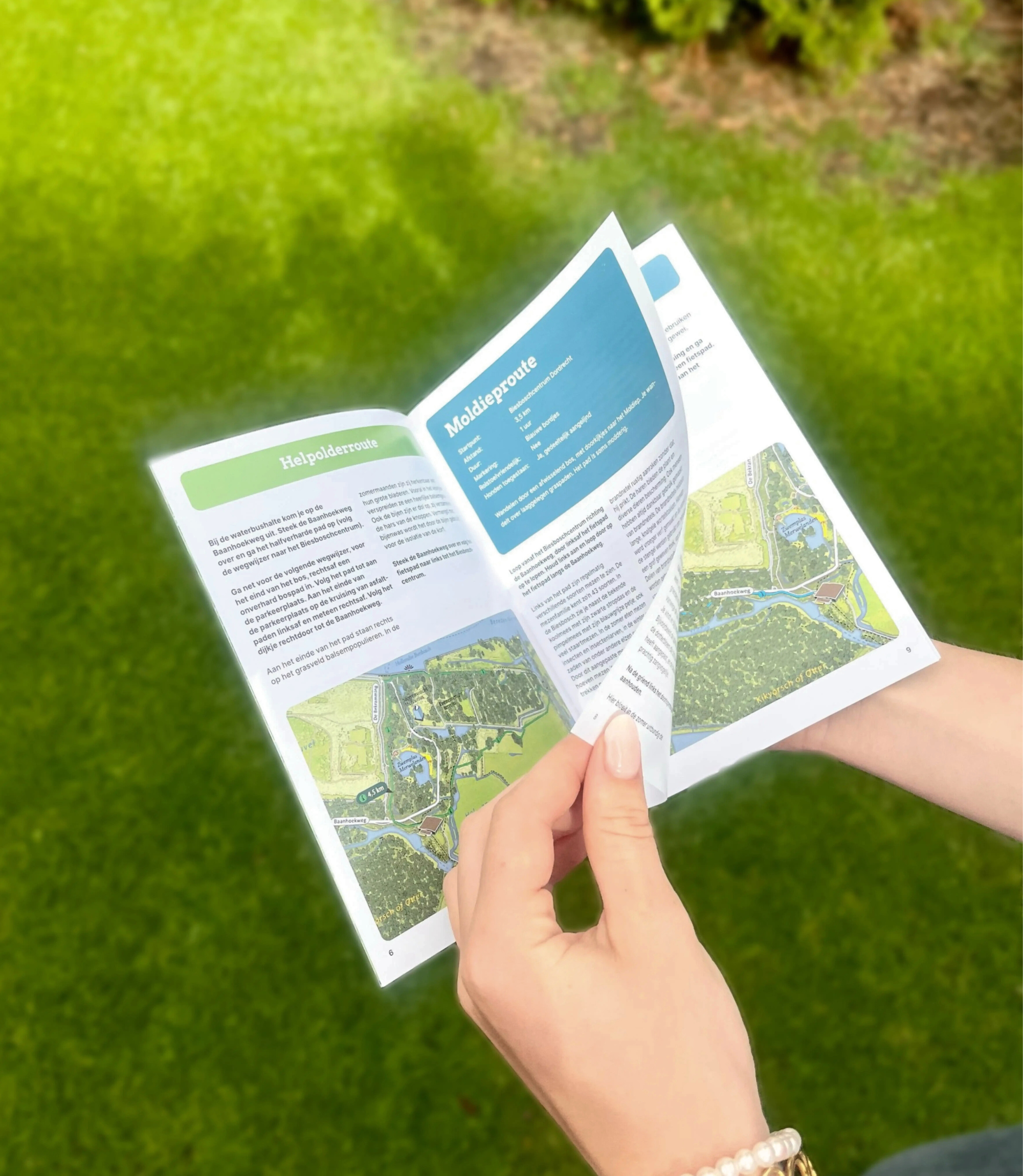 VVV Dordrecht Wandelgids Hollandse Biesbosch