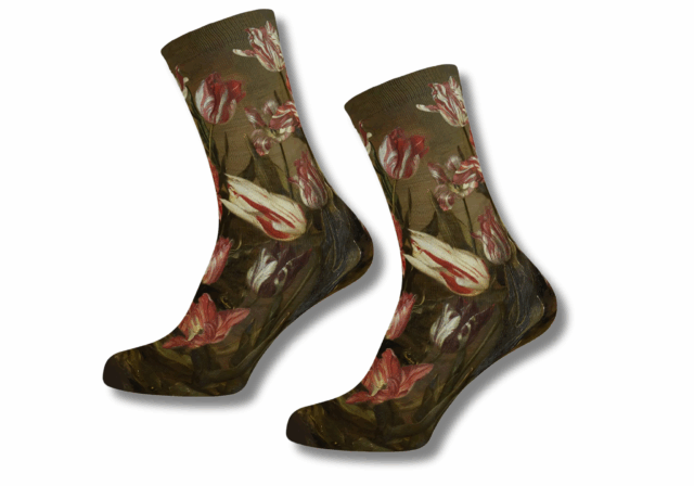 VVV Dordrecht sokken Jacob Gerritsz Cuyp