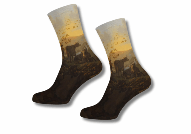 VVV Dordrecht Sokken Aelbert Cuyp