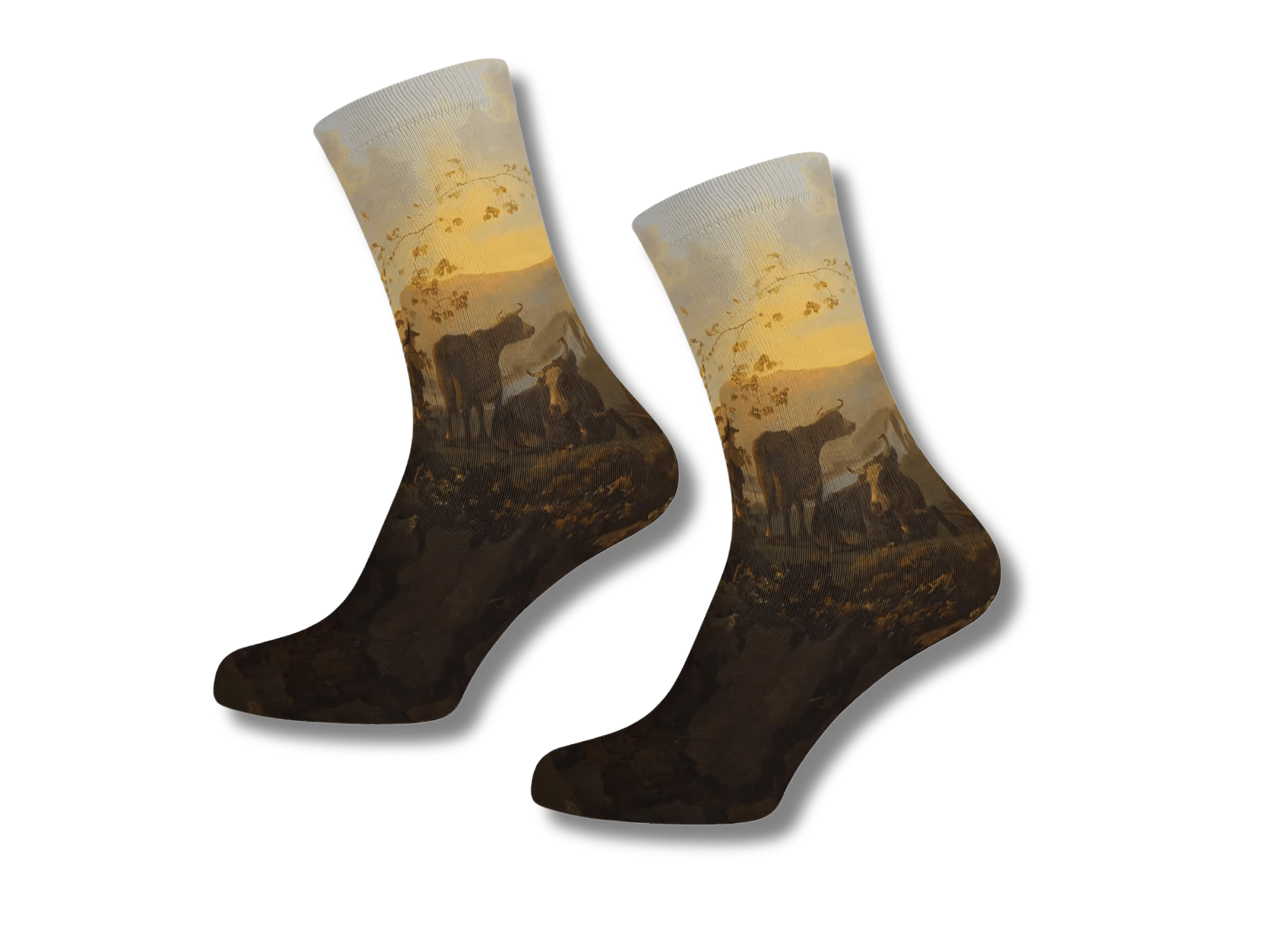 VVV Dordrecht Sokken Aelbert Cuyp