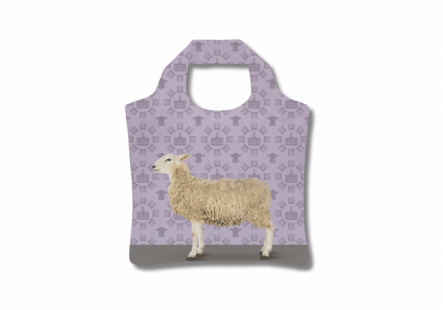 VVV Dordrecht vouwtas Dordrecht