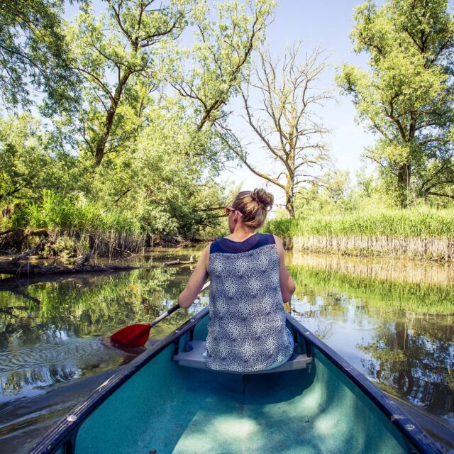 Biesbosch Dordrecht